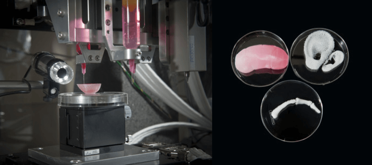 Bioprinting artificial organs