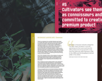 collage of sample pages from insights report