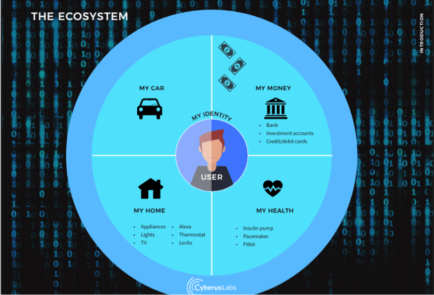 Security ecosystem infographic