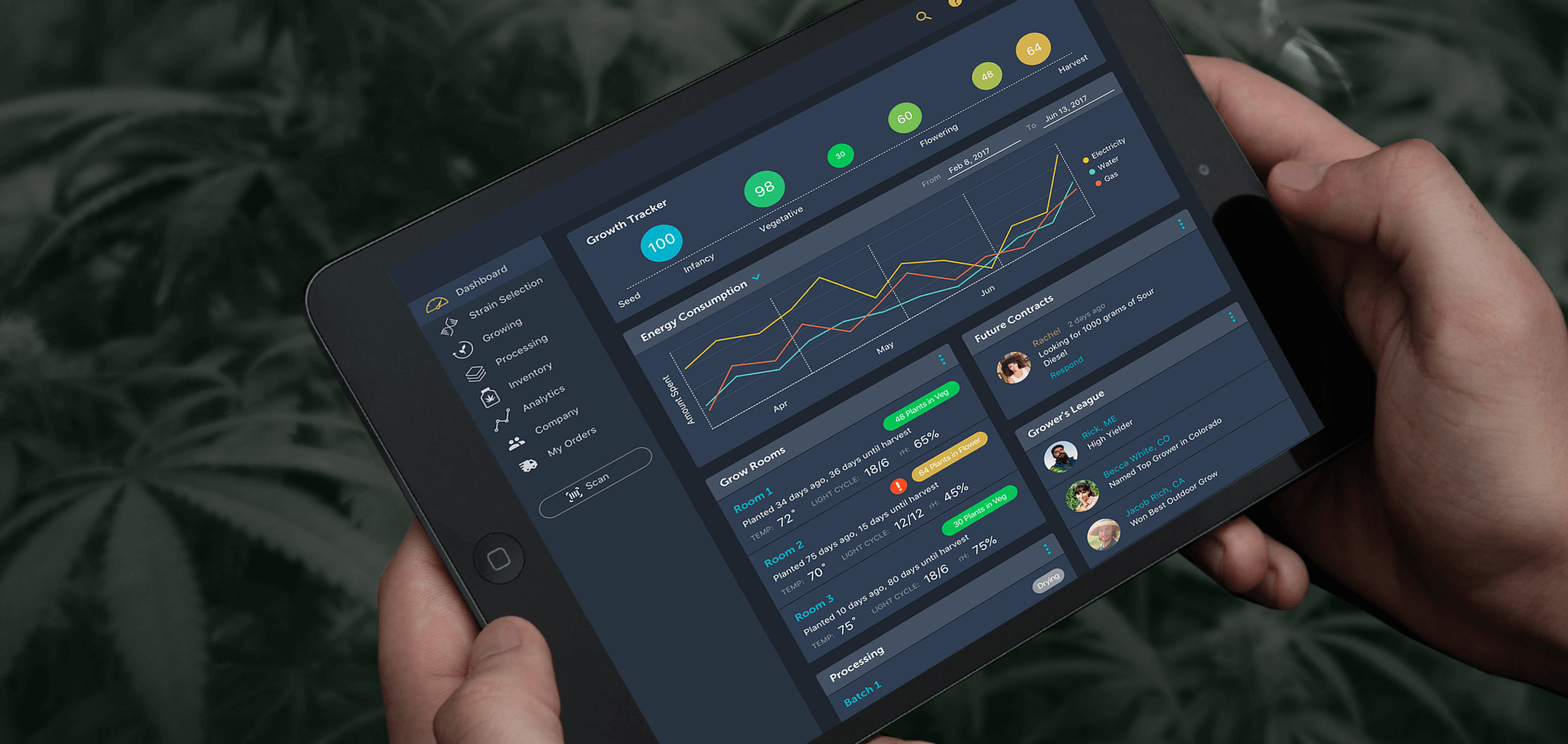 MJ Ally app: Dashboard screen mockup